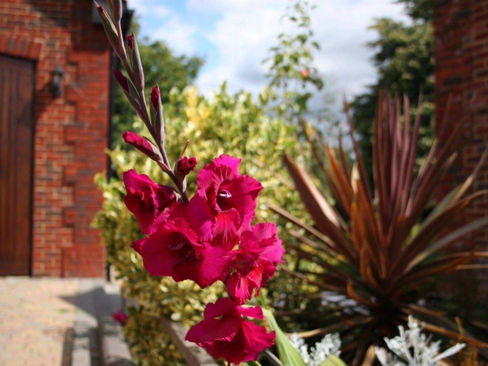 Millers House Boutique B&B Emsworth Εξωτερικό φωτογραφία